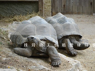 找劳动工伤赔偿律师事务所 找劳动工伤赔偿律师事务所