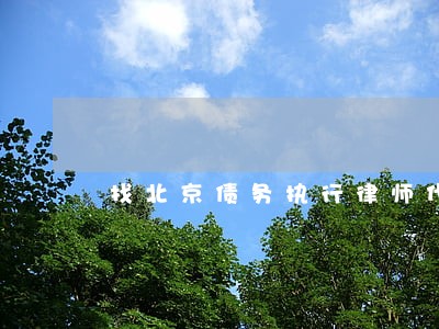 找北京债务执行律师代理费 找北京债务执行律师代理费