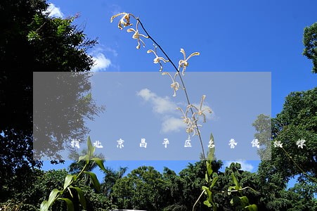 找北京昌平区名誉侵权律师咨询