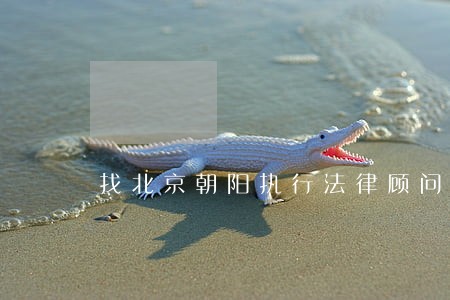 找北京朝阳执行法律顾问