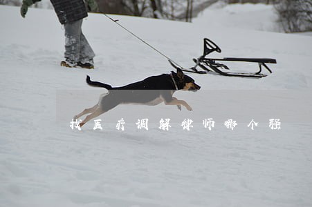 找医疗调解律师哪个强