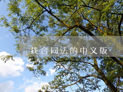找合同法的中文版 找合同法的中文版