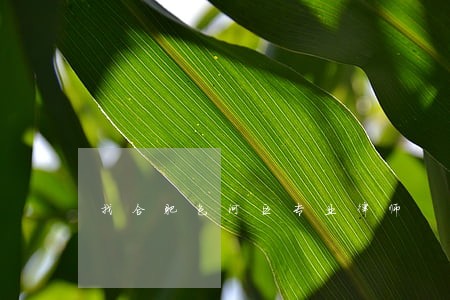 找合肥包河区专业律师 找合肥包河区专业律师