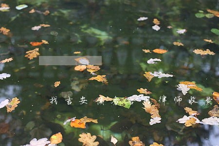 找吉安债务合同律师收费标准 找吉安债务合同律师收费标准