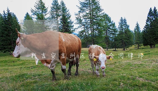 找吉安吉州区债务合同律师 找吉安吉州区债务合同律师