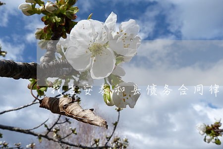 找吉安泰和县债务合同律师多少钱 找吉安泰和县债务合同律师多少钱