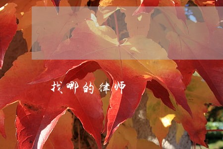 找哪的律师 找哪的律师