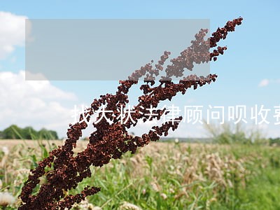 找大状法律顾问呗收费 找大状法律顾问呗收费