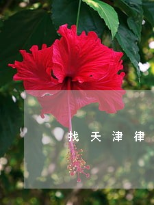找天津律师咨询问题 找天津律师咨询问题