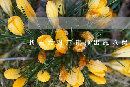 找夫妻财产律师出庭收费 找夫妻财产律师出庭收费