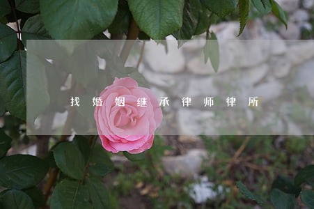 找婚姻继承律师律所 找婚姻继承律师律所
