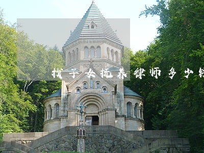 找子女抚养律师多少钱 找子女抚养律师多少钱