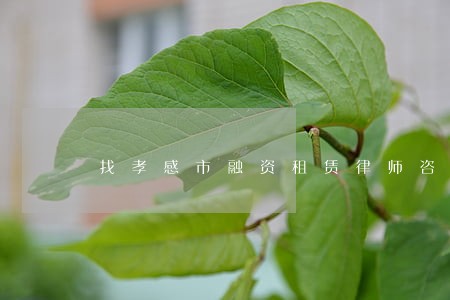 找孝感市融资租赁律师咨询 找孝感市融资租赁律师咨询