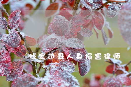 找定边县人身损害律师 找定边县人身损害律师