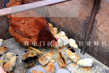 找屯门区合伙联营律师咨询 找屯门区合伙联营律师咨询