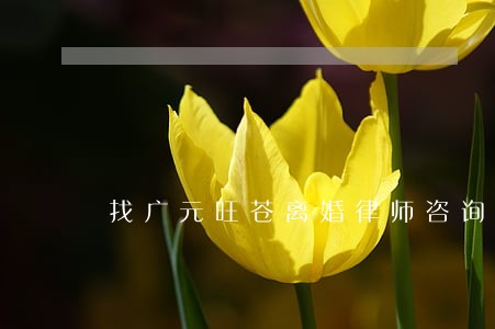 找广元旺苍离婚律师咨询