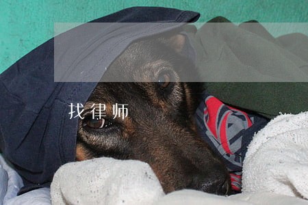 找律师 找律师