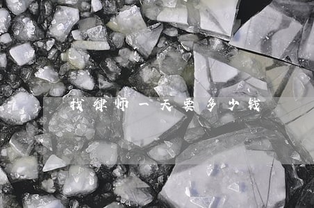 找律师一天要多少钱 找律师一天要多少钱