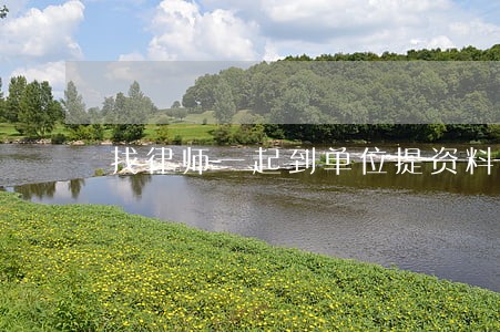 找律师一起到单位提资料给多少钱 找律师一起到单位提资料给多少钱