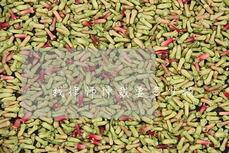 找律师仲裁要多少钱 找律师仲裁要多少钱