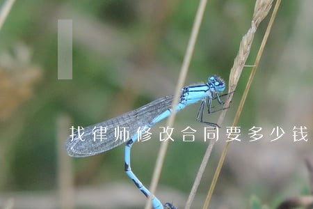 找律师修改合同要多少钱 找律师修改合同要多少钱