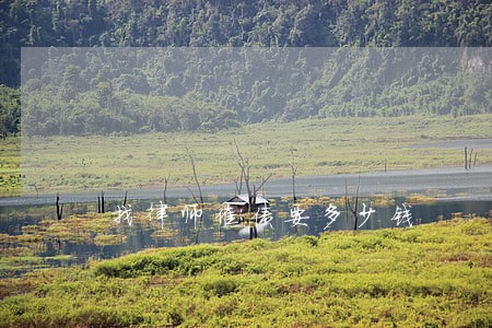 找律师催债要多少钱 找律师催债要多少钱