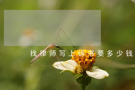 找律师写上诉书要多少钱 找律师写上诉书要多少钱