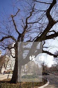 找律师写份合同要多少钱 找律师写份合同要多少钱