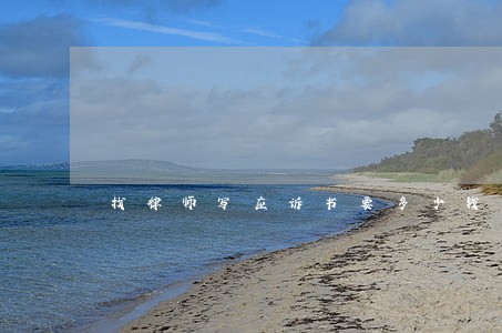 找律师写应诉书要多少钱 找律师写应诉书要多少钱