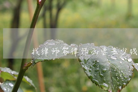 找律师写律师函要多少钱 找律师写律师函要多少钱