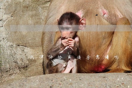 找律师协商债务靠谱吗 找律师协商债务靠谱吗