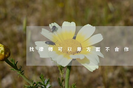 找律师可以单方面不合作吗 找律师可以单方面不合作吗