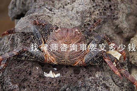 找律师咨询事要交多少钱 找律师咨询事要交多少钱