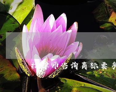 找律师咨询商标要多少钱 找律师咨询商标要多少钱