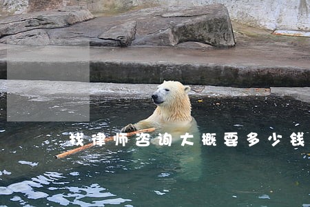 找律师咨询大概要多少钱 找律师咨询大概要多少钱