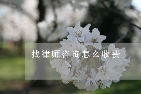 找律师咨询怎么收费 找律师咨询怎么收费