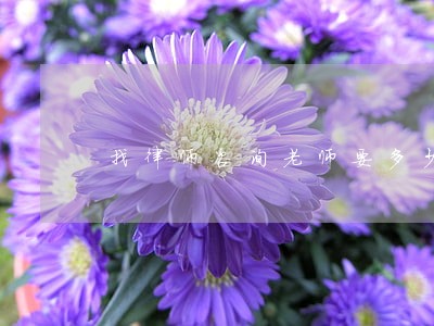 找律师咨询老师要多少钱 找律师咨询老师要多少钱