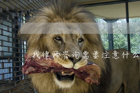 找律师咨询需要注意什么 找律师咨询需要注意什么
