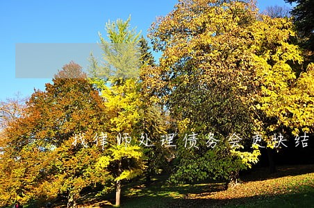 找律师处理债务会更快结案吗 找律师处理债务会更快结案吗