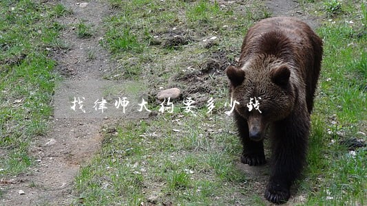 找律师大约要多少钱 找律师大约要多少钱