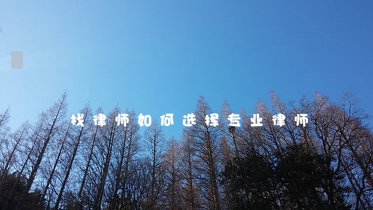 找律师如何选择专业律师