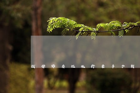 找律师委托执行要多少钱 找律师委托执行要多少钱