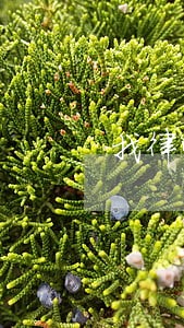找律师审查合同要多少钱 找律师审查合同要多少钱