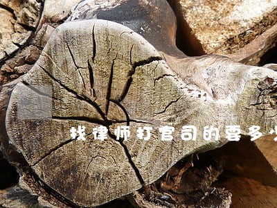 找律师打官司的要多少钱 找律师打官司的要多少钱