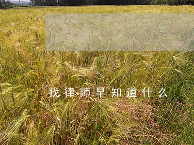 找律师早知道什么 找律师早知道什么