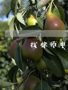 找律师申请债务重组 找律师申请债务重组
