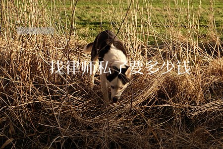 找律师私了要多少钱 找律师私了要多少钱