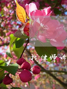 找律师诉讼要先交钱吗 找律师诉讼要先交钱吗