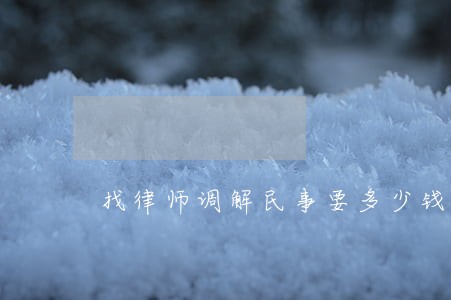 找律师调解民事要多少钱 找律师调解民事要多少钱