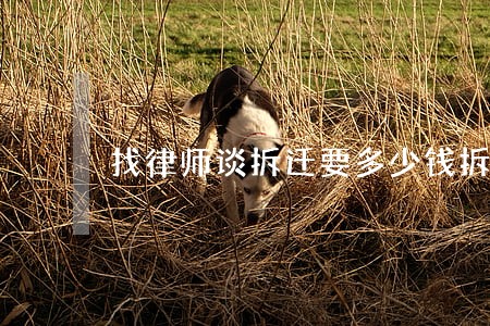 找律师谈拆迁要多少钱拆 找律师谈拆迁要多少钱拆